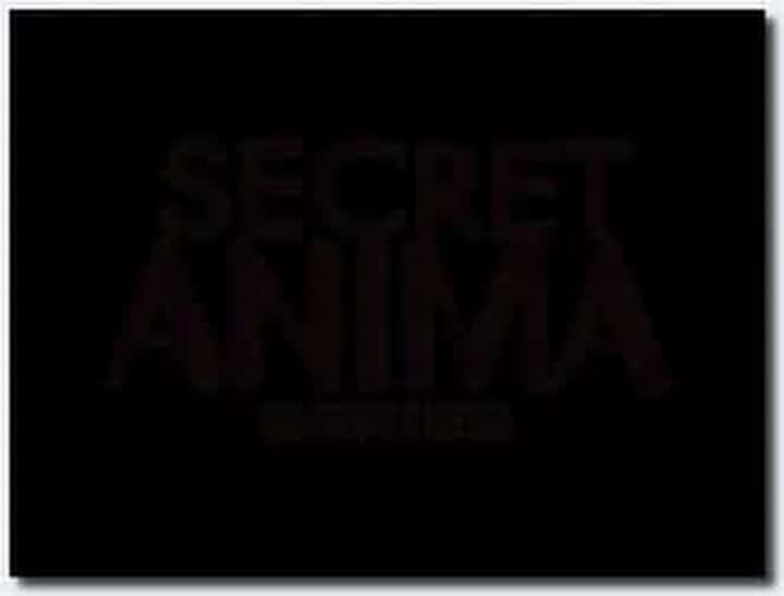 18  部动漫未经审查 MAMA MIA Secret Anima 系列 Air Dragon VOL 2 DVD 960x720 x264 AACx2