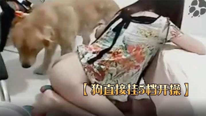 狗直接挂5档开操女主保持一个姿势让狗后入的