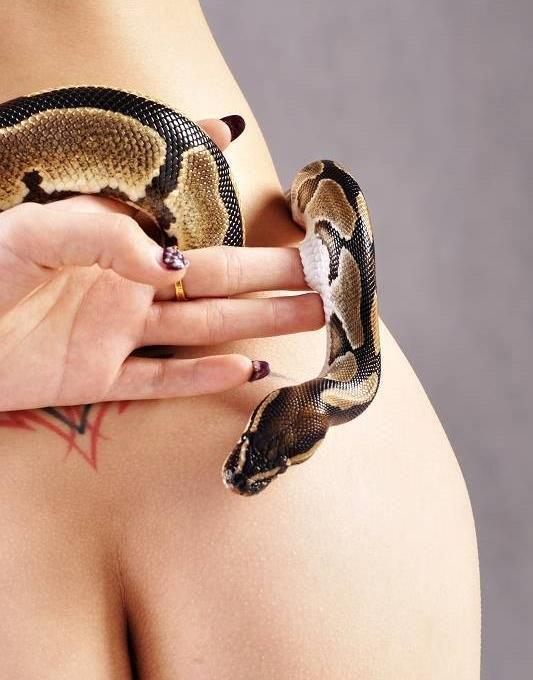 美女与蛇亲密接触模特虫虫