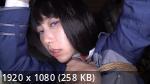 Mei Satsuki、Arisa Seina - 美丽女孩特工 Arisa 和 Mei 3 孔性交、双重中出惩罚和大量精液颜射 (Tma) [2023 г.、亚洲人、角色扮演、肛交、Shibari、口交、射精、中出、所有性、束缚、窒息、虐待、