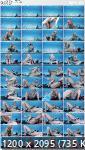 2023-09-08 Siswe19展会