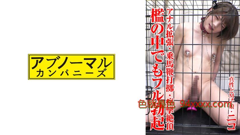 ニコ1
车牌号：481SACZ431