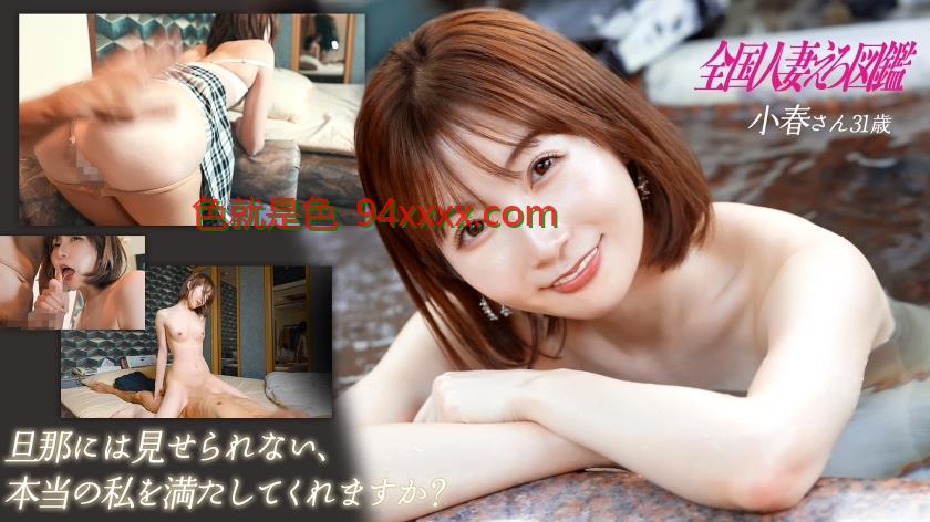 车牌号：336KNB310