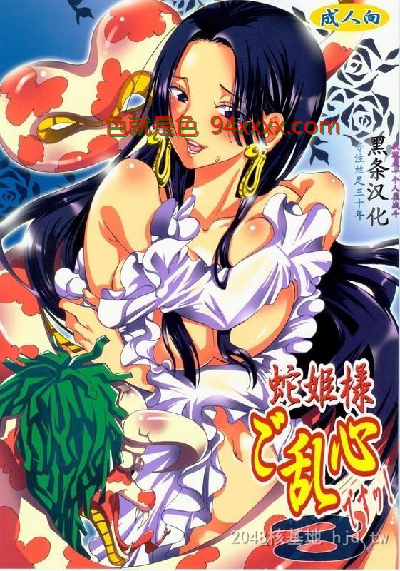 [中文][黑白]海贼王同人蛇姫様ご乱心[25P]