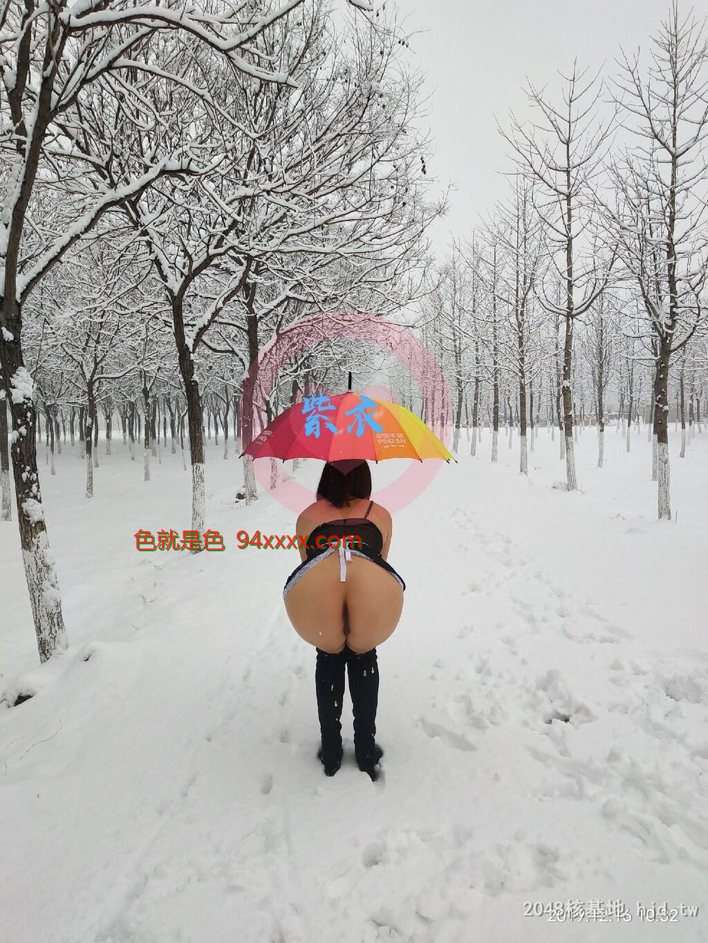 喜欢雪，感受这浪漫与美好[20P]