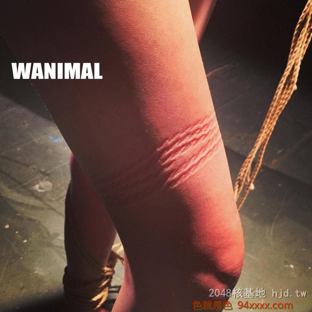 王动WANIMAL作品227[10p]