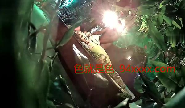 全新360热带雨林房20部
