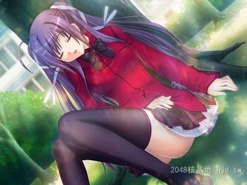 性感黑丝动漫妹子集