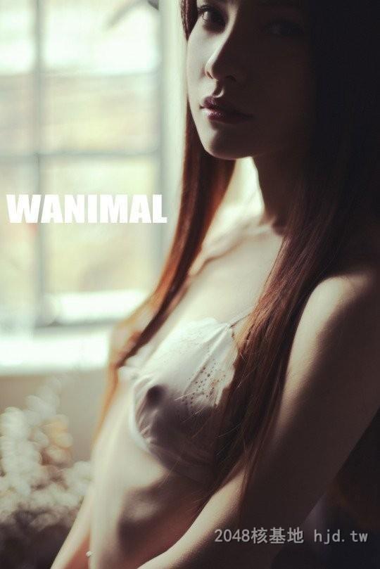 王动WANIMAL作品301[20p]