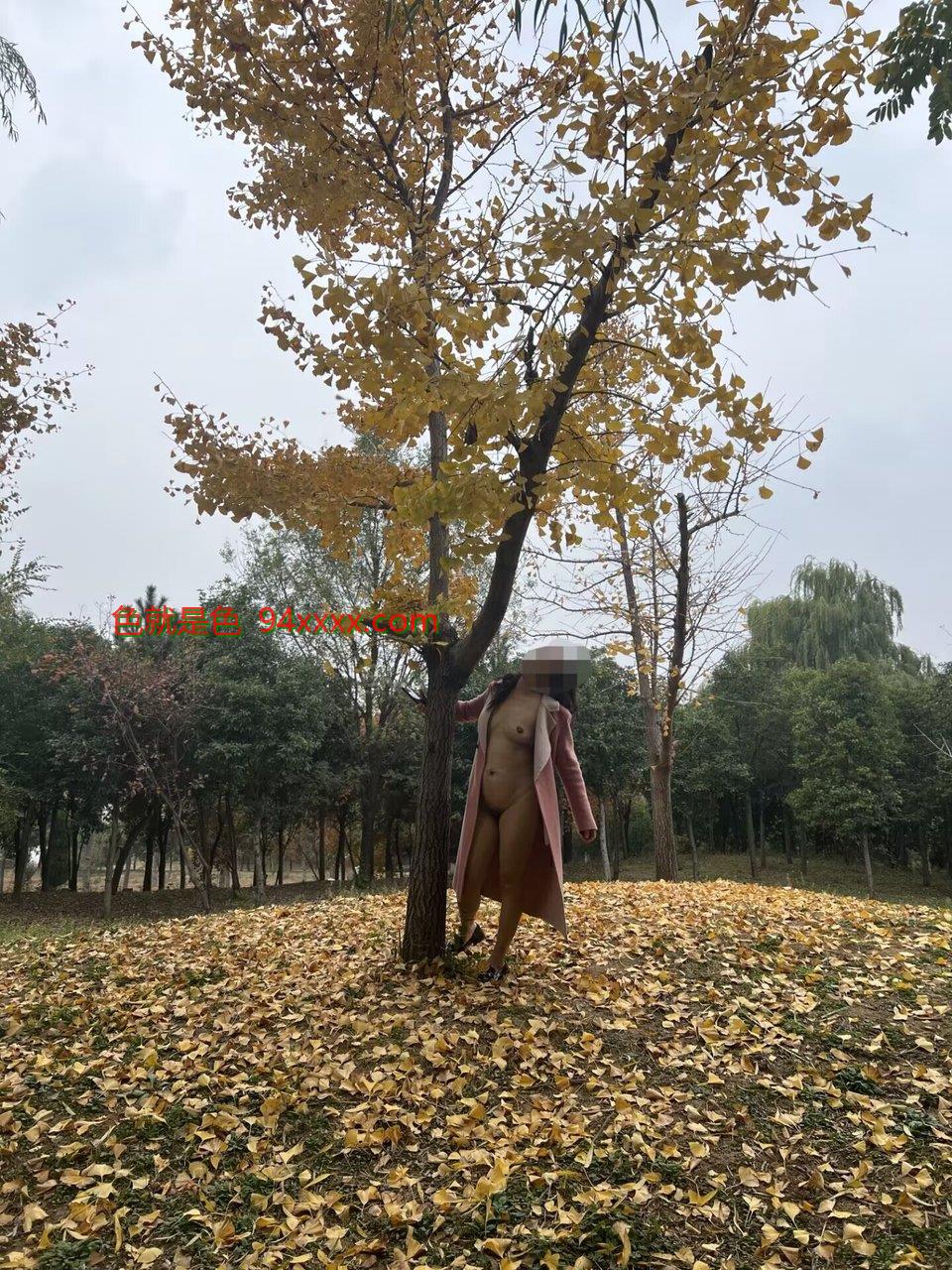 ǻ֮޴¶[10P]