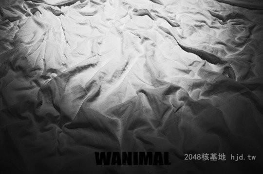 杨晨晨sugar[39p]