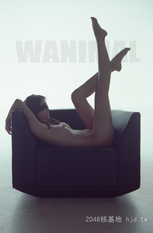 王动WANIMAL作品311[20p]