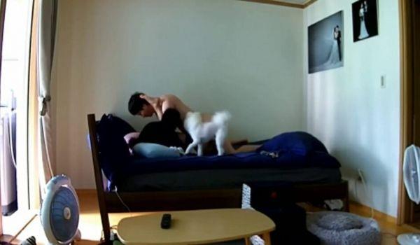 大白天新婚不久的年轻夫妻激情啪啪娇妻身材太性感了被搞的销魂淫叫一对狗狗观战