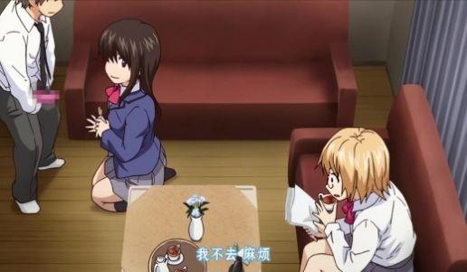 后宫狂热