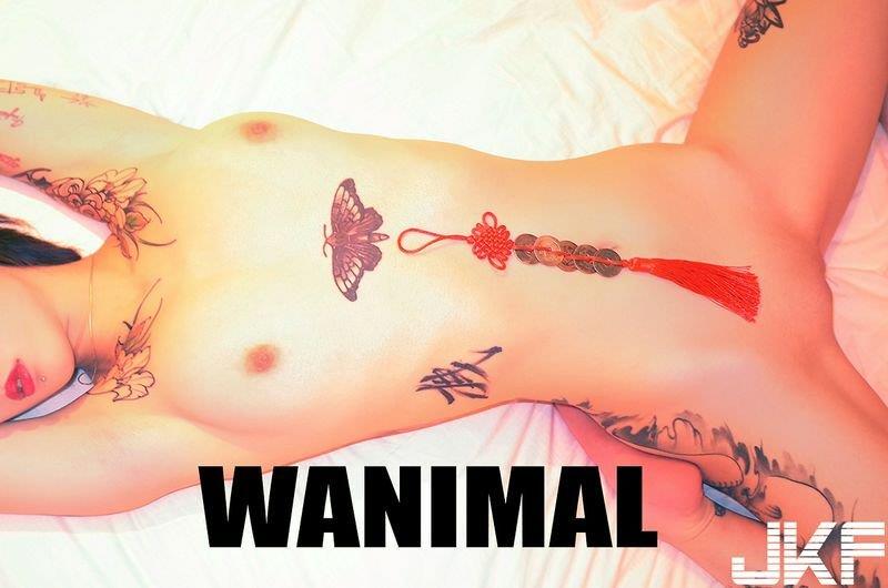 wanimalͼһ