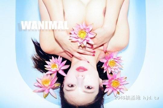 王动WANIMAL作品323[20p]