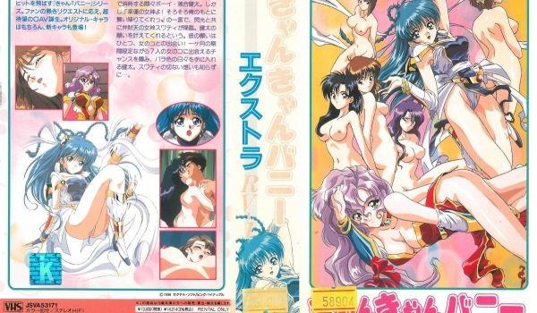 [ピンクパイナップル] きゃんきゃんバニーエクストラ Vol.1