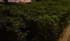 《重磅✅炸弹极限✅挑战》露出界天花板级别狂人！高颜苗条露脸骚人妻推特网红潼潼各种场景专门人前露出紫薇~对话淫蕩