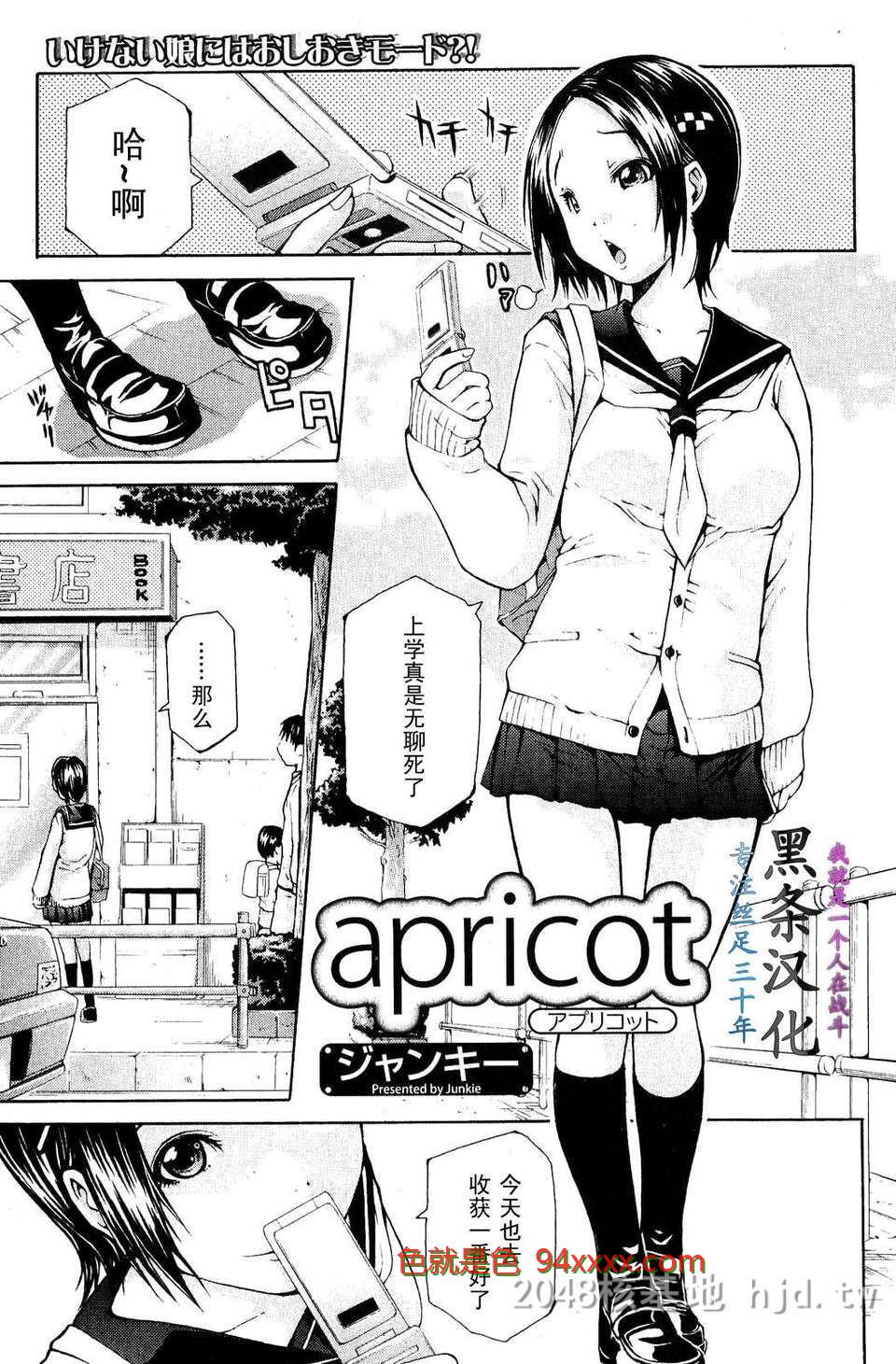 [ジャンキー]apricotアプリコット[16P]
