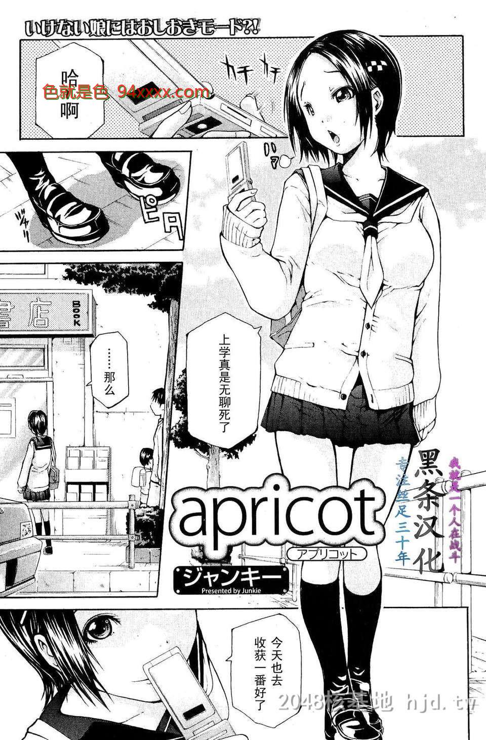 [ジャンキー]apricotアプリコット[16P]