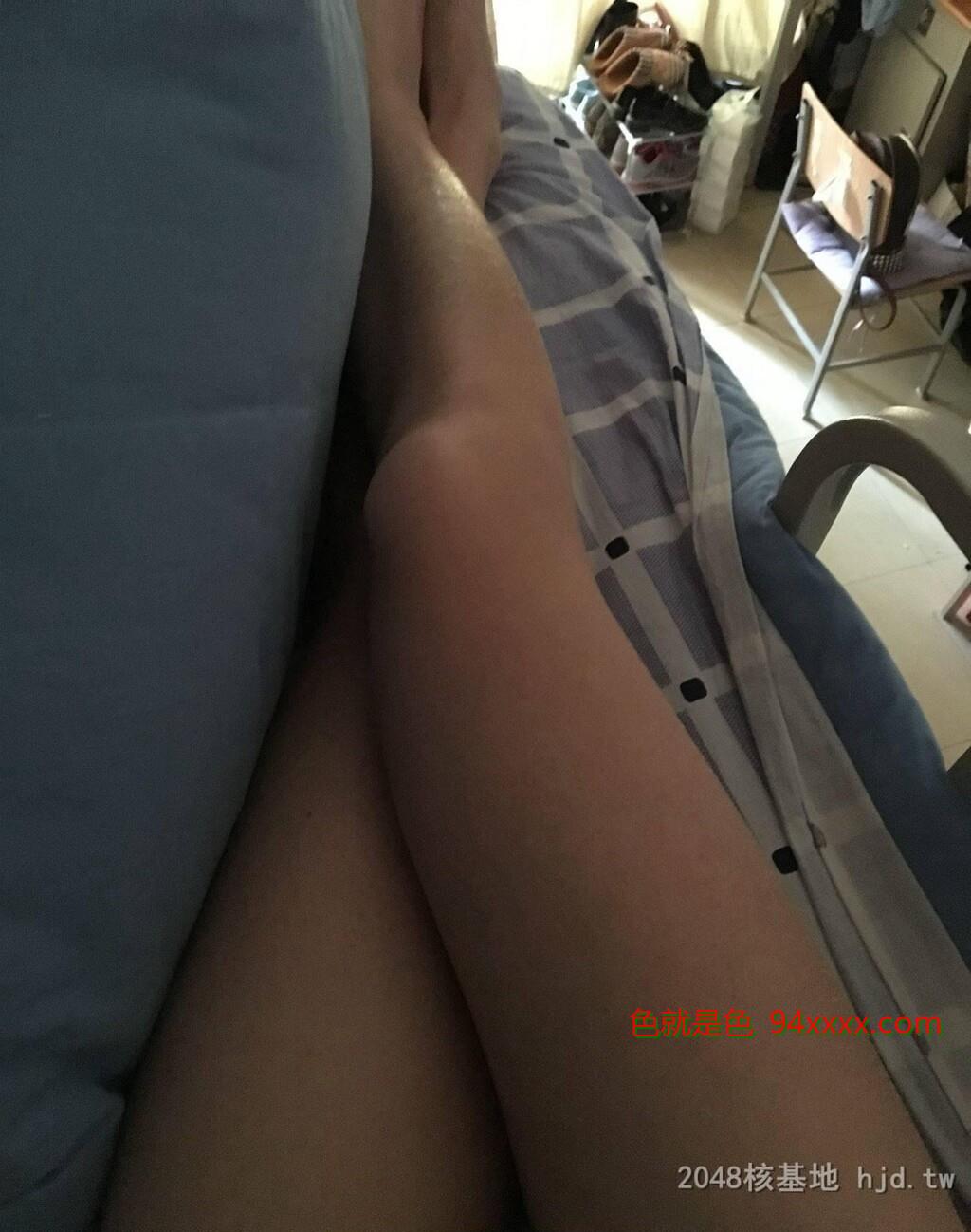 我的小可爱吾独爱菊[13P]