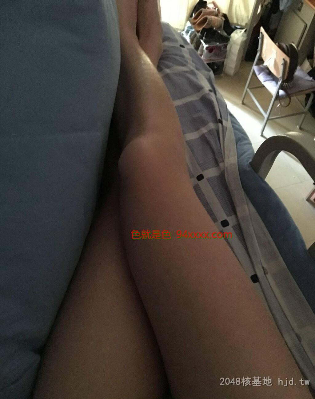 我的小可爱吾独爱菊[13P]