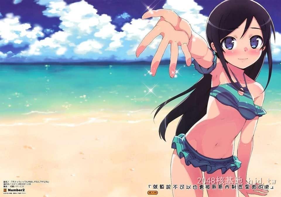 [中文][C82][同人誌][Number2[たくじ]]ダメっていっても中出しするんですよね[俺の妹が][11P]