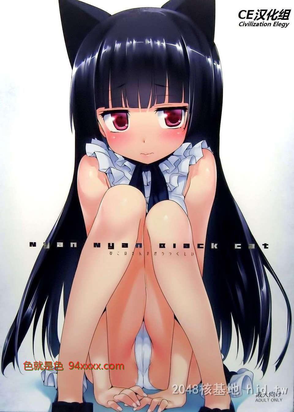 [中文][C82][同人誌][ねこはまんまがうつくしい[Hisasi]]NyanNyanBlackC[9P]