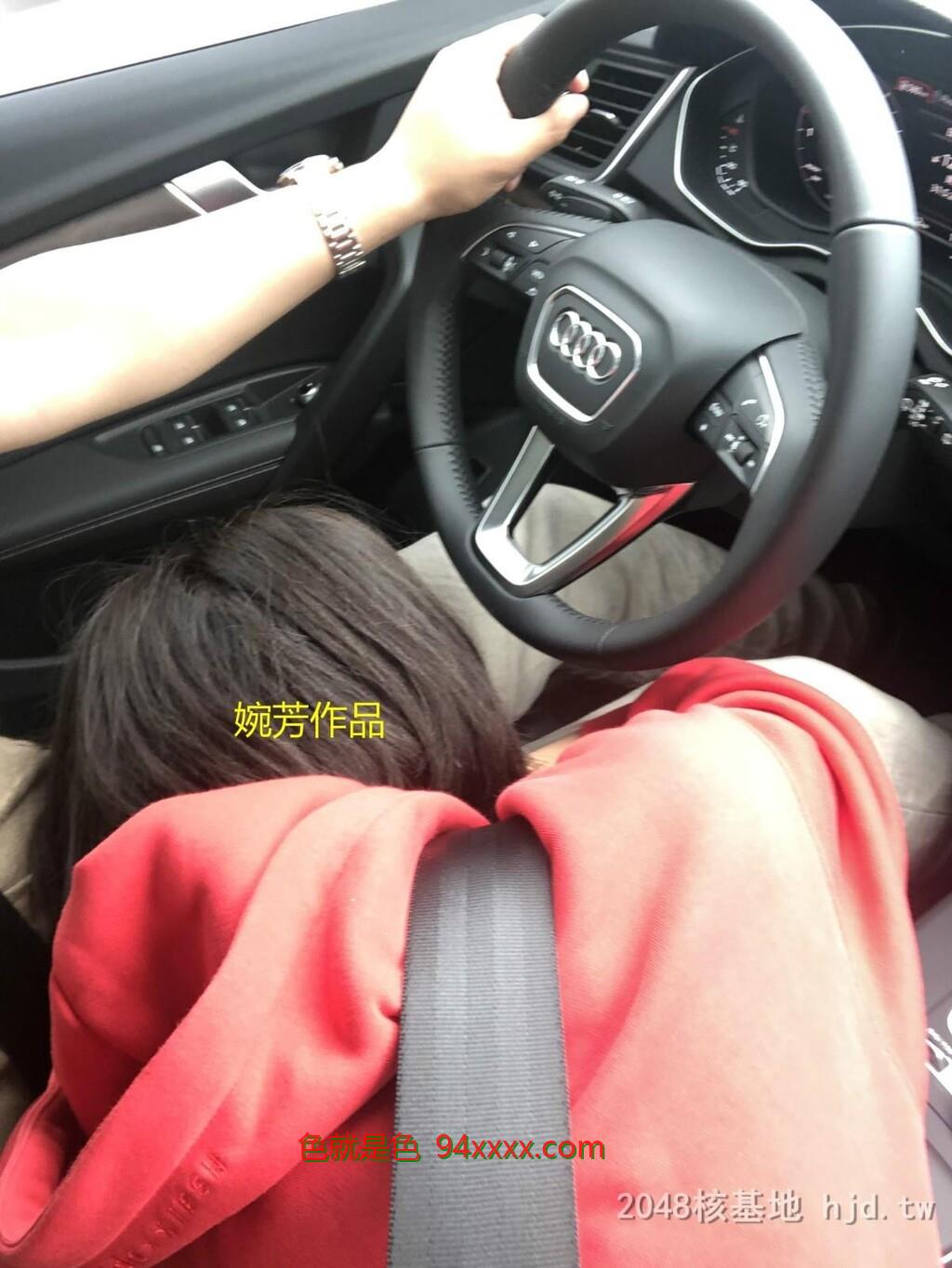 开车不口交，口交不开车！切勿模仿婉芳作品[29P]